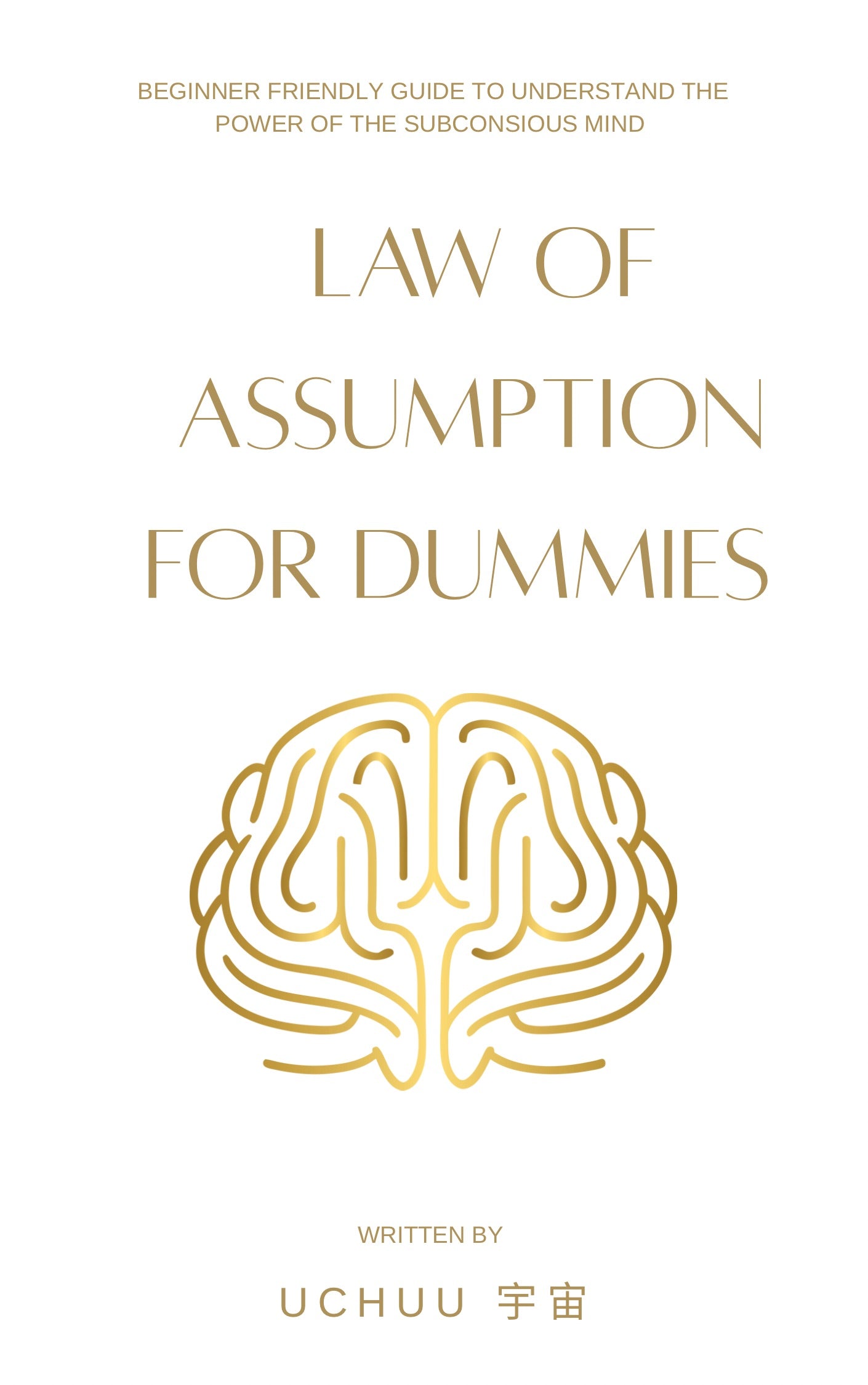 Law of assumption for dummies - Uchuu